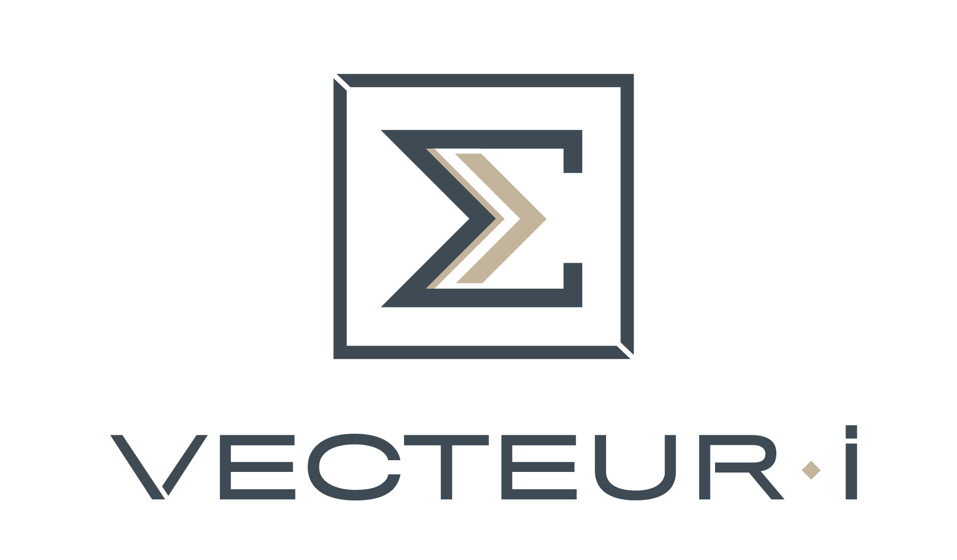 Logo Vecteur i