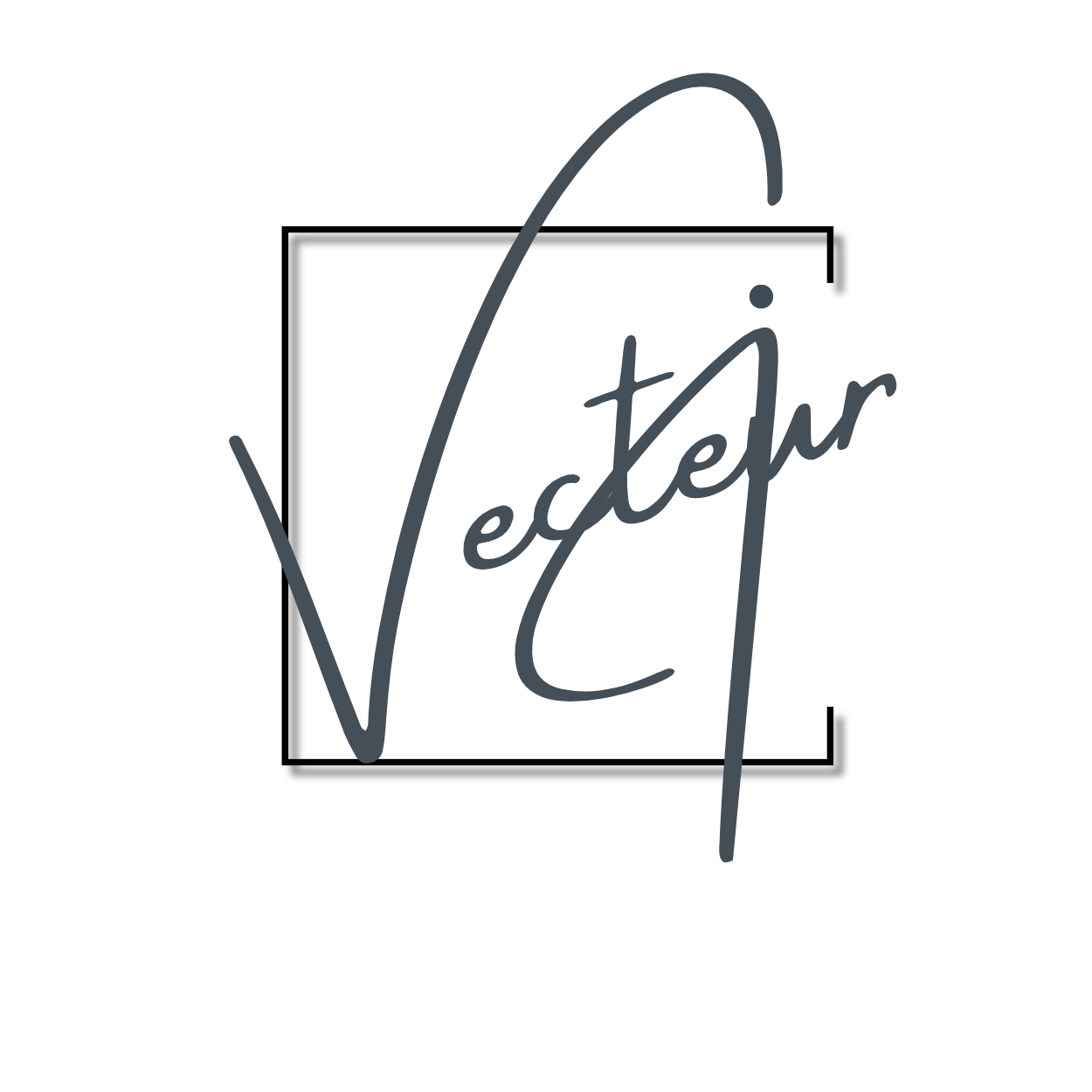 Signature Vecteur i